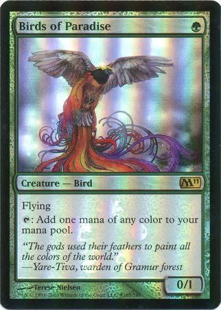 birds of paradise buy a box promo promo cards birds of paradise buy a box promo promo cards