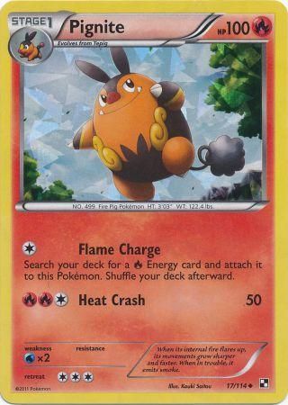 Mega dice coupon